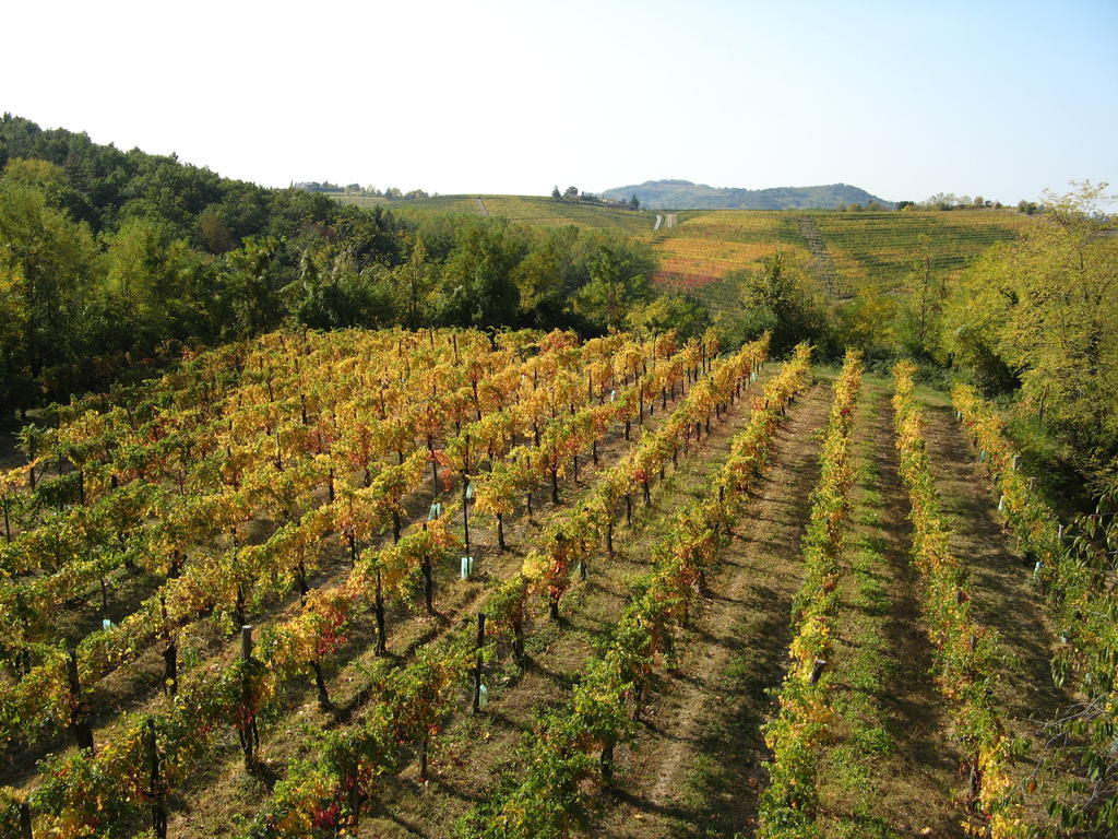 Bosco Romagno Villa Cividale Del Friuli Ngoại thất bức ảnh