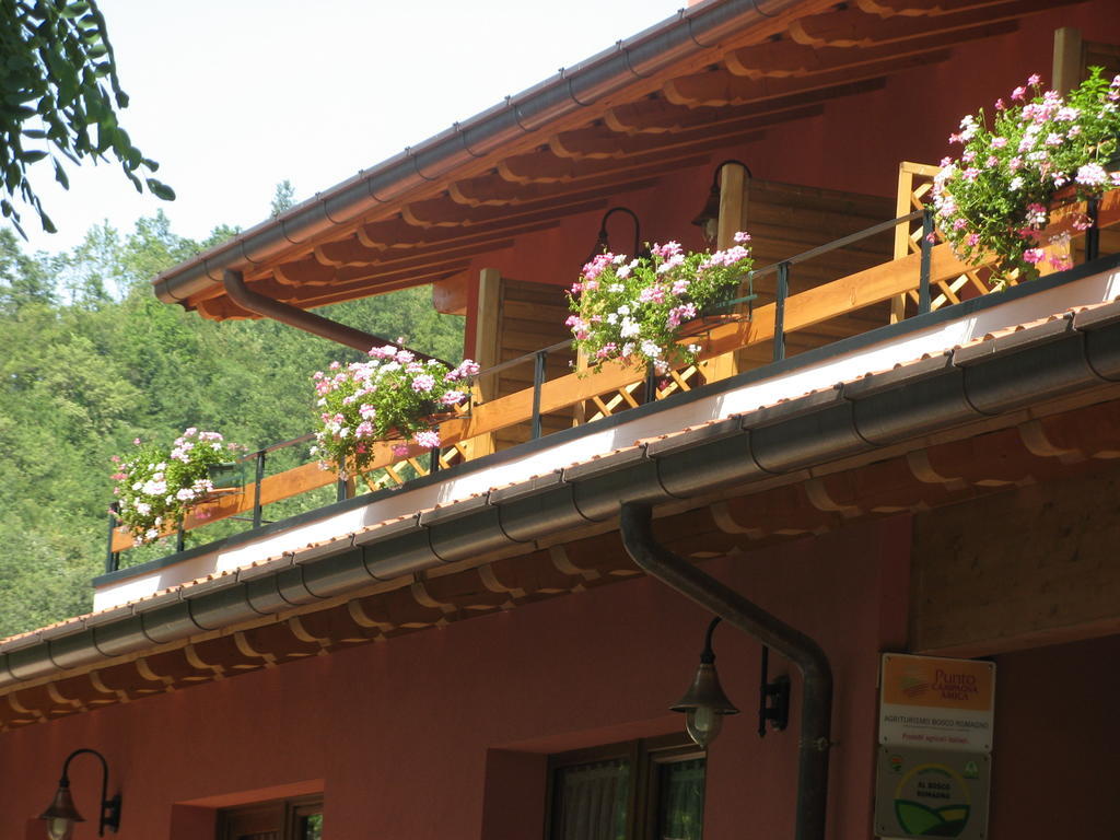Bosco Romagno Villa Cividale Del Friuli Phòng bức ảnh